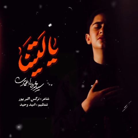 دانلود آهنگ محمدطاها اعتمادی به نام یا لیتنا